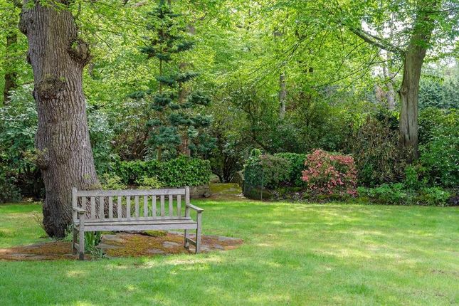 Gaywoods, 29, Winnington Road, London photo 4