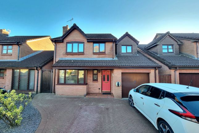 Thumbnail Detached house for sale in Hollybush Drive, Sketty, Swansea, City And County Of Swansea.