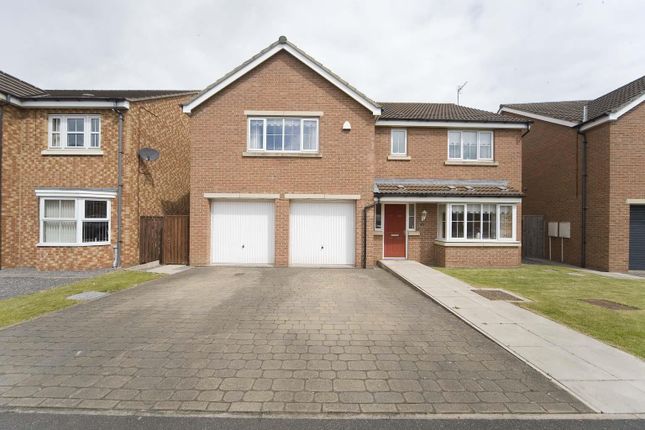 Thumbnail Detached house for sale in Silverbirch Road, Hartlepool