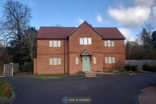Thumbnail Detached house to rent in Midgham Halt, Reading