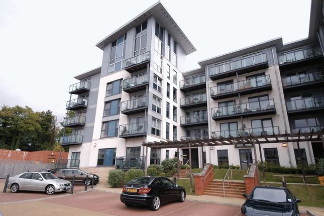 Thumbnail Flat to rent in Mckenzie Court, Maidstone