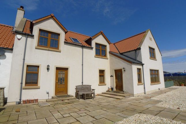 Thumbnail Detached house to rent in Pathhead House, St Monans