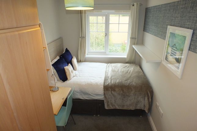 Thumbnail Room to rent in Pascal Crescent, Shinfield, Reading