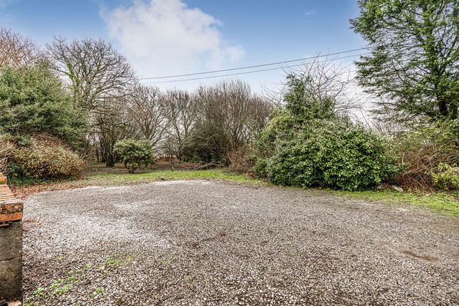 Parc Newydd, Pontyclun photo 2