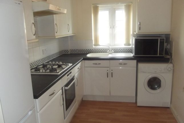 19, Exeter photo 3