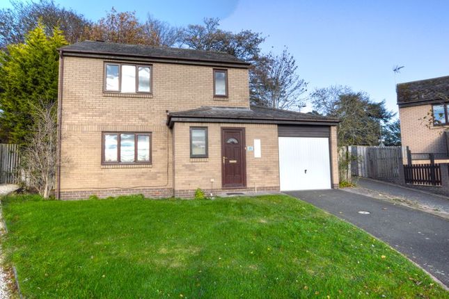 Thumbnail Detached house to rent in Royal Oak Gardens, Alnwick
