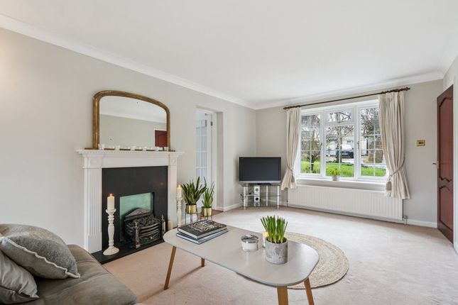 Cat Bells, Bigfrith Lane, Cookham Dean photo 4