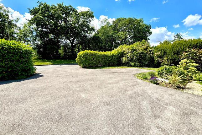 Driveway.Jpg