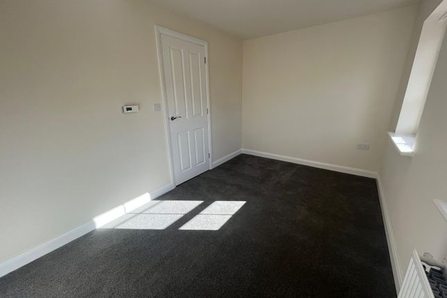 10, Paignton photo 4