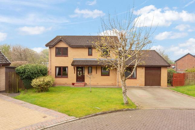 Thumbnail Detached house for sale in Hunter Grove, Bathgate