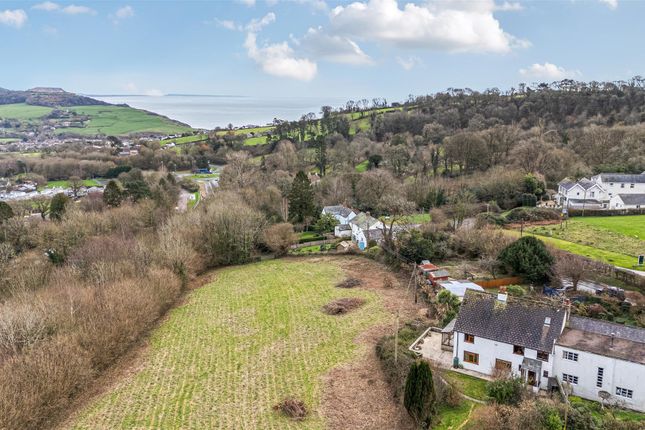 Fernhill Cottage, Fernhill, Bridport photo 2