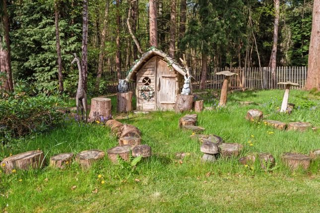 Hobbit House/Woodland