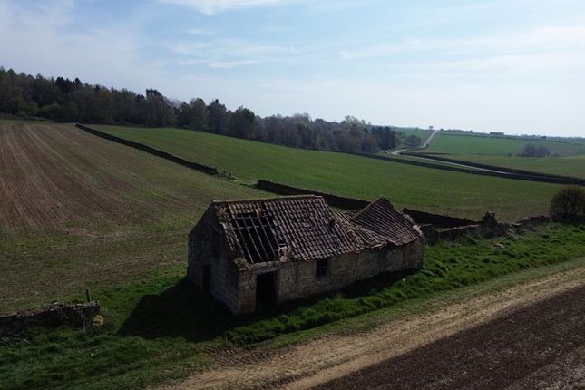 The Paddocks, Ganthorpe, York photo 4