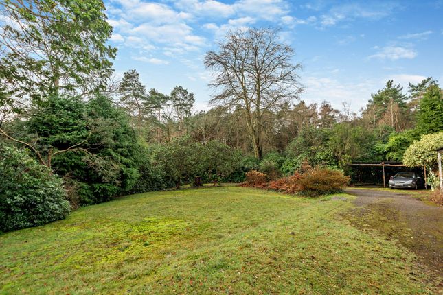 Bungalow for sale in High View Road, Lightwater, Surrey