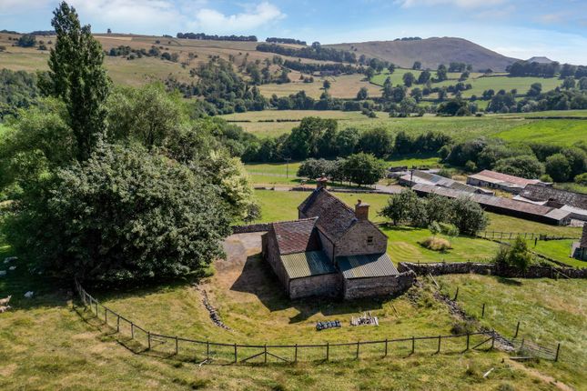 Rushley Farm,, Ilam, Ilam photo 3
