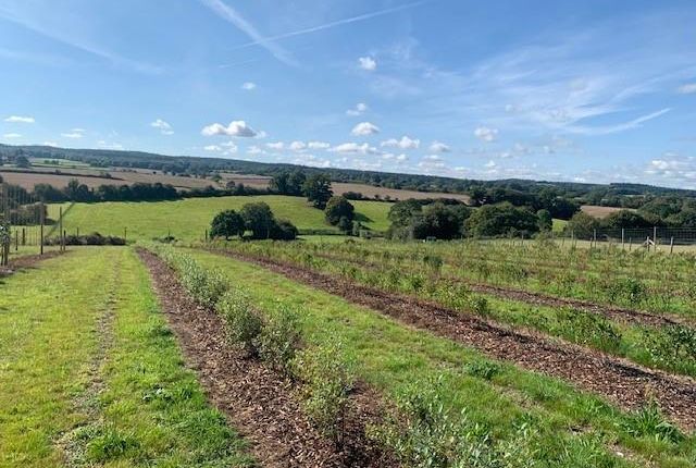 Land for sale in Land At Burrows Lea, Hook Lane, Shere, Guildford