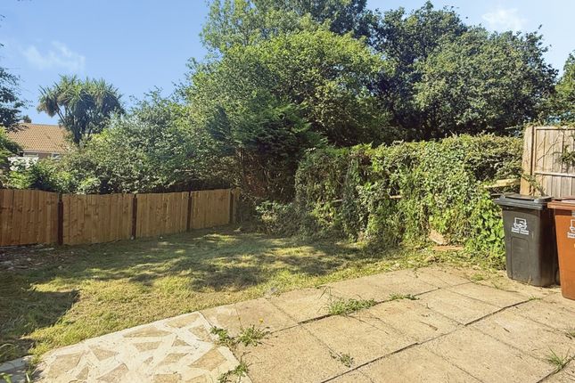 41, Plover Rise, Devon photo 4