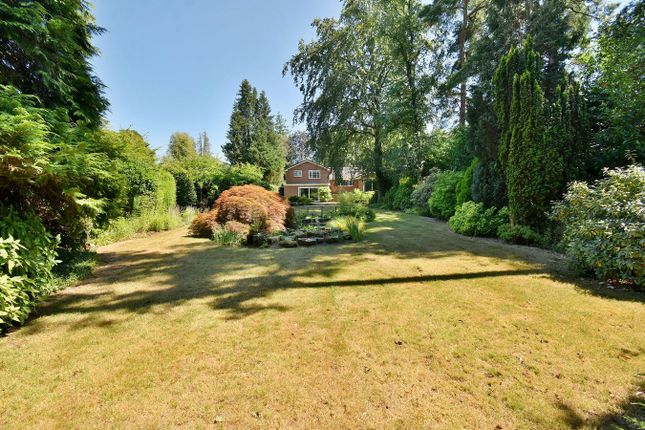 13, Moorside Road, Ferndown photo 4
