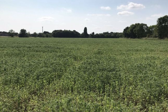 Land for sale in Mill Lane, Gilberdyke, Brough