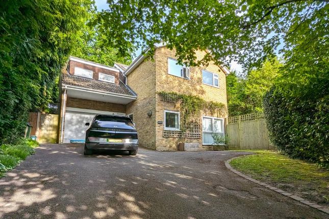 Detached house to rent in Hook Heath, Woking, Surrey