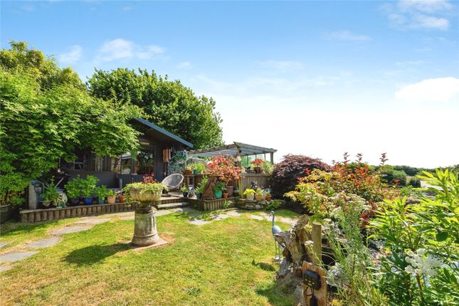 Acers,, Helstone, Cornwall photo 4