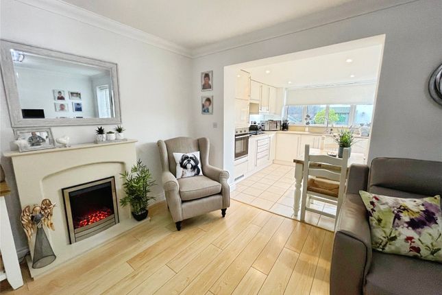 19, Alexander Mews, Harlow photo 4