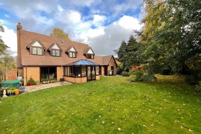 11 The Paddock, Nantwich photo 4