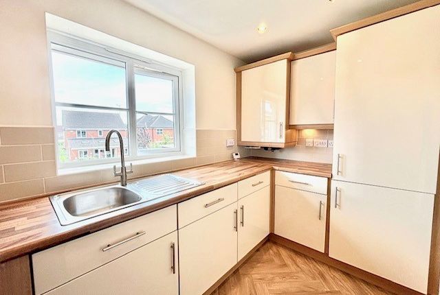 19, Rotherham photo 2