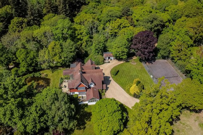 Moonhills, Moonhills Lane, Brockenhurst photo 3