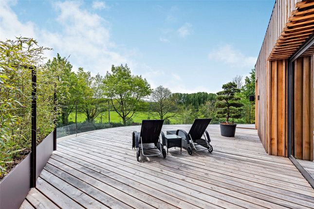 Roof Terrace