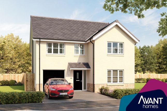 Detached house for sale in "The Stirling" at Sycamore Drive, Penicuik