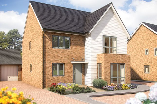 Detached house for sale in "The Firecrest" at Foxglove Avenue, Bexhill-On-Sea
