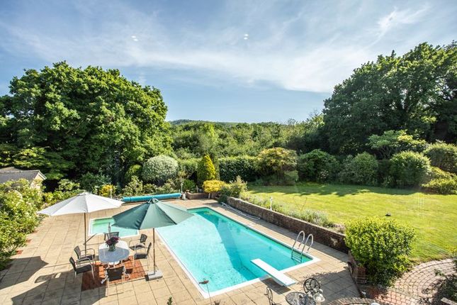 Holly House, 37 Shirleys, Hassocks photo 2