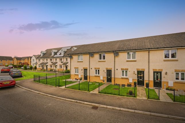 Duskshots-9d12d049_B447A463-12 20Rus