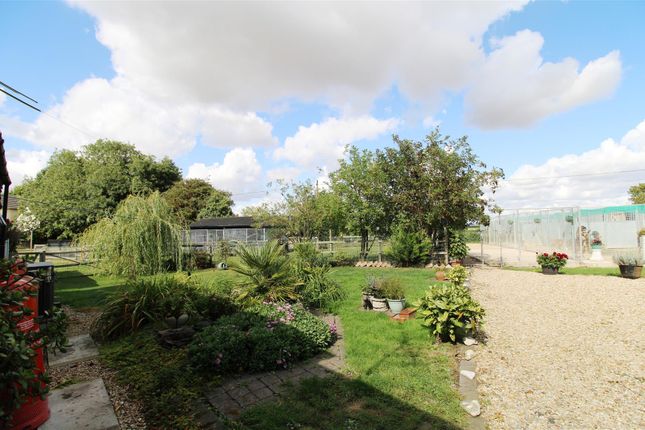 Cadermist, Blazegate, Gedney Spalding photo 3