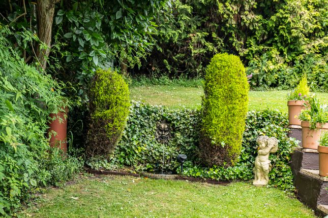 Garden (6)