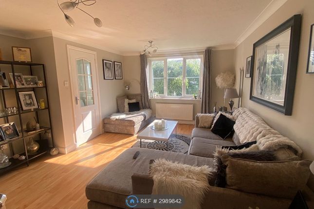 Orwell Close, Eastbourne photo 3