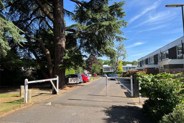 32, Brackley, Surrey photo 4