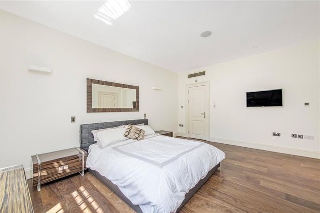 Claverton Street, London photo 4