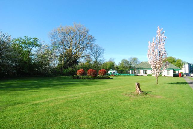 Ealing Village, Ealing photo 4