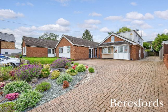 Thumbnail Bungalow for sale in Ongar Road, Writtle