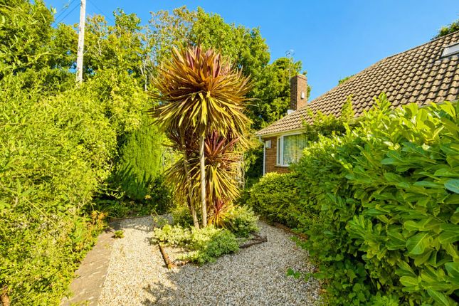 The Wirral, Cannongate Avenue, Hythe photo 3