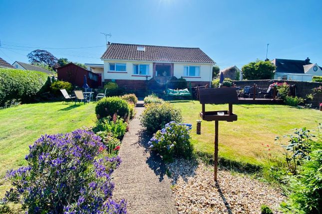 Thumbnail Detached bungalow for sale in Higher Loughborough, Tiverton