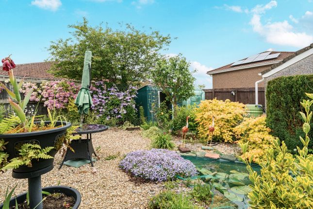 4, Blossom Close, Honiton photo 2