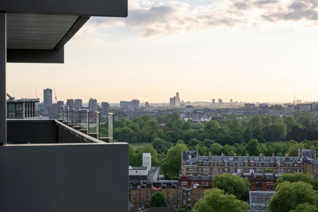 Terrace View