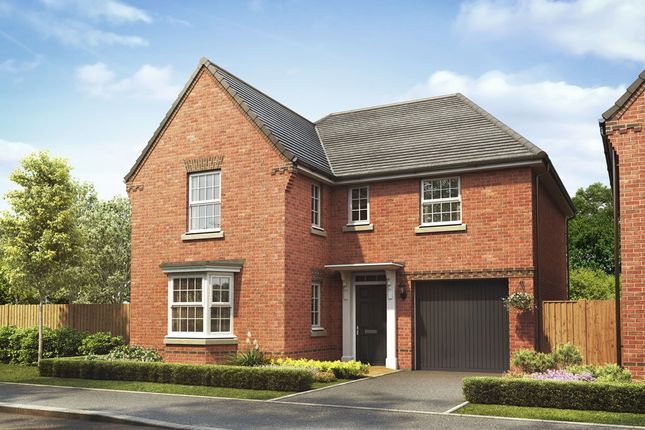 Thumbnail Detached house for sale in "Drummond" at Waterhouse Way, Hampton Gardens, Peterborough