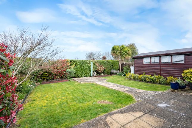 31, Beacon Drive, Seaford photo 4