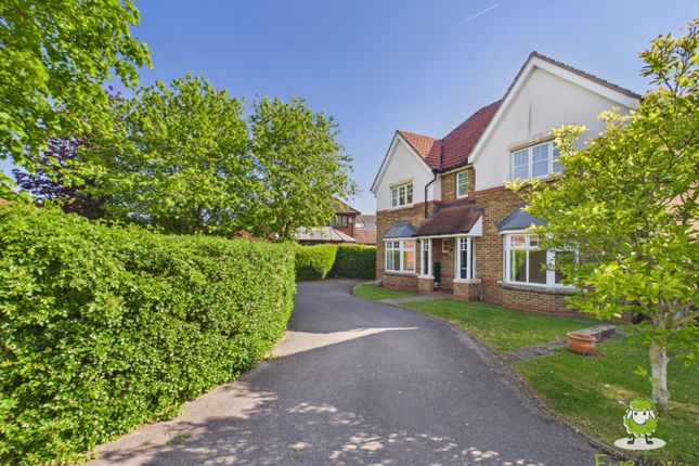 21, Wallis Drive Bramley, Tadley photo 3