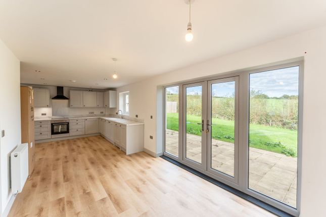 Cefn Llan, Llangammarch Wells photo 2