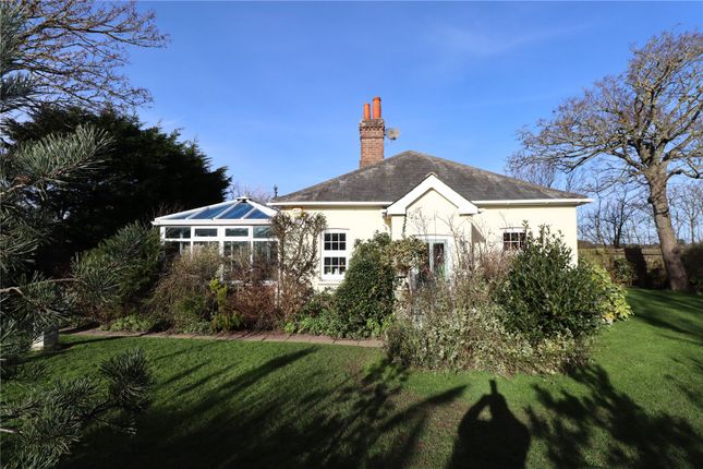 Bungalow for sale in Cliff Road, Milford On Sea, Lymington, Hampshire
